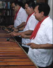 Marimba Mayalandia performing - Orlando, Florida.
