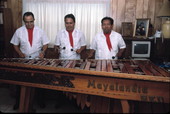 Marimba Mayalandia plays a large marimba - Orlando, Florida.