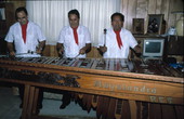 Marimba Mayalandia plays a large marimba - Orlando, Florida.