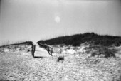 Sand dunes and a walkway - Port Saint Joe, Florida.