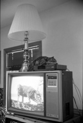 Sleeping cat on top of a television - Tallahassee, Florida.