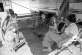 Children looking at puppies - Tallahassee, Florida.
