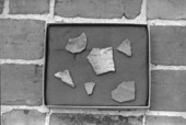 Artifacts from Hernando de Soto's winter encampment excavation site - Tallahassee, Florida.