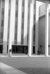 View of the Florida capitol building - Tallahassee, Florida.