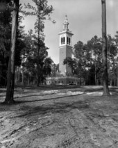 View of the carillon tower from new clearing at the Stephen Foster Center - White Springs, Florida
