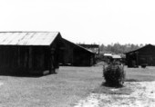 Buildings on Sam Perry's farm- Lamont, Florida