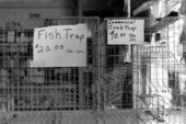 Fish trap and crab trap made by George Torres- Tampa, Florida
