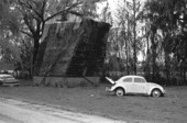 Volkswagen beetle next to tobacco barn on the property of Gussie and Kirby Robinson - Jasper, Florida.