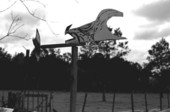 Ray Morgan's whirley-gig (weather vane) - White Springs, Florida