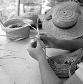 Pam Solano weaving palm hats at the 1983 Florida Folk Festival - White Springs, Florida