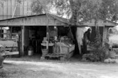 Odom's Market fruit and vegetable stand - Elkton, Florida