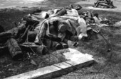 View of metal rings that will be used for a mullet fish smoke - Monticello, Florida