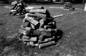 Metal rings that will be used for a mullet fish smoke set around logs before supports are added - Monticello, Florida