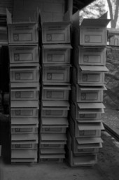 Boxes in packing plant at the Hagstrom family fernery - Pierson, Florida