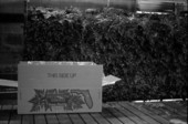 Box lined with plastic and ready to be packed with ferns at the Hagstrom family fernery - Pierson, Florida
