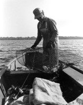 Tommy Noles, Crescent City, FL working catfish traps on St. Johns River..