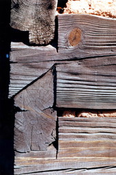 Detail of notching at the Morningside Nature Center - Gainesville, Florida.