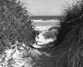Dunes and beach at Frank B. Butler State Park - St. Johns County, Florida