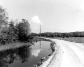 Road leading to oil well in the Everglades