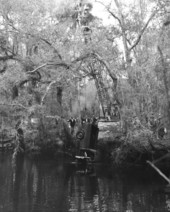 Removing a truck from the waterway