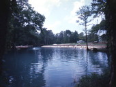 Swimming facilities at Blue Hole Spring in Florida Caverns State Park- Marianna, Florida.