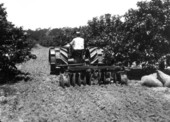 Plowing - Winter Haven, Florida
