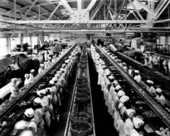 Floridagold canning plant - Dundee, Florida