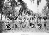 Surveying corps.