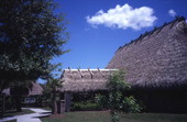 View showing thatched building at the Big Cypress Seminole Indian Reservation.