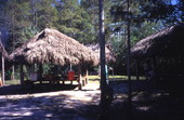 View of Seminole Indian chickee huts at the Big Cypress Seminole Indian Reservation.