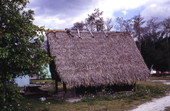 View of a Seminole Indian chickee hut at the Big Cypress Seminole Indian Reservation.