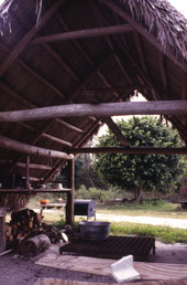 Interior view of a Seminole Indian chickee hut at the Big Cypress Seminole Indian Reservation.