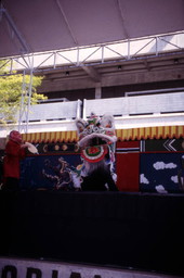 View of the dragon dance performance during a Chinese New Year celebration in Miami, Florida.