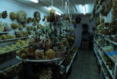 Sponges at Nina's Gift Shop - Tarpon Springs, Florida.