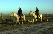 Ranchers with their dogs at the Dixie Ranch in Okeechobee, Florida.