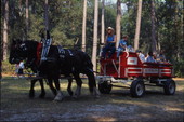 Children ride in a wagon at Rural Folklife Days - White Springs, Florida.