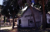 Sponge warehouse on Roosevelt Street - Tarpon Springs, Florida.