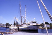 Shrimp boat - Tarpon Springs, Florida.
