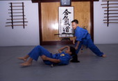 Van Vo Dao students practice martial arts - Orlando, Florida.