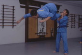 Van Vo Dao students practice martial arts - Orlando, Florida.