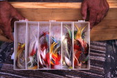Box of fishing lures - Everglades City, Florida.