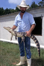 Kelvin Townsend with an alligator - LaBelle, Florida.