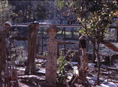 Wood sculptures made by Jesse J. Aaron - Gainesville, Florida.