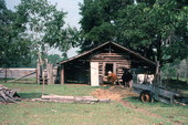 Cows standing in front of a barn.