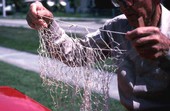 Valley Hill making a cast net