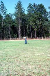 Scarecrow at the Morningside Nature Center - Gainesville, Florida.