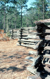 Wooden fence at the Morningside Nature Center - Gainesville, Florida.