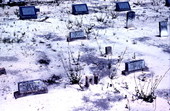 Graves in the cemetery at Bethlehem Primitive Baptist Church - Old Chicora, Florida