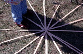 Strips of a white oak laid down by Lucreaty Clark during basket making process