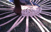 Lucreaty Clark starting to weave a white oak basket